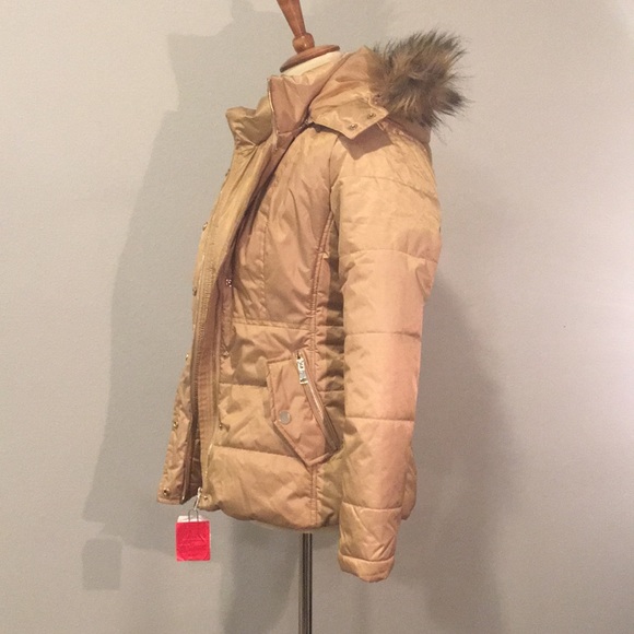 Jacket - Picture 2 of 6